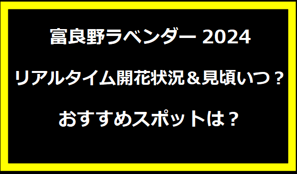 富良野ラベンダー2024リアルタイム開花状況＆見頃いつ？おすすめスポットは？