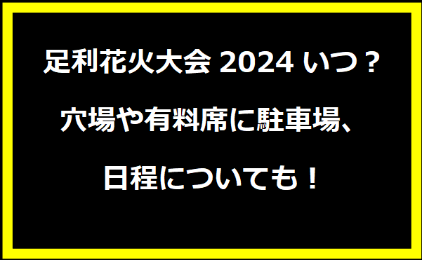 足利花火大会2024いつ？穴場や有料席に駐車場、日程についても！