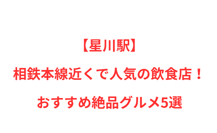 【星川駅】近くで人気の飲食店！おすすめ絶品グルメ5選