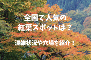 鹿児島県霧島市にある霧島神宮の美しい紅葉見頃と便利なアクセス